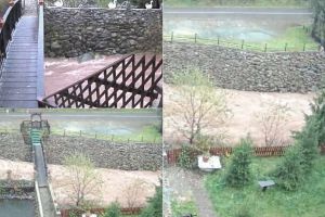 FOTO, VIDEO. Lapoviţă şi ploaie puternică în Munţii Apuseni: Râul Arieş, la cote foarte mari