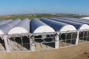 Curăţenie în stand-by: Din cauza întârzierilor, Bihorul ar putea avea un sistem de management integrat al deşeurilor abia după 2020