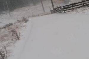 Zăpadă ca în poveşti, la muntele Băişoara FOTO