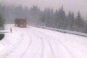 Iarna in Maramures: Ninge in Pasul Prislop
