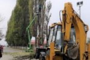 Atenţie, cad copaci! Intervenţie de urgenţă pe stadionul din Moldova Nouă!