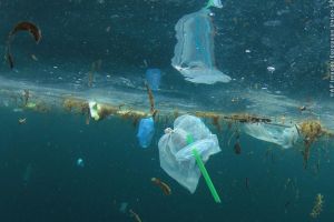 Adio pahărele şi farfurii din plastic! Articolele de unică folosinţă vor fi interzise