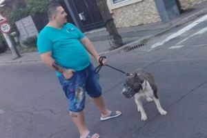 Cum a scăpat Eminescu de droguri! A tras prafuri şi iarbă de la 14 ani. Cum era pe „furtună”?