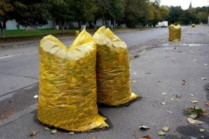 GATA cu ARDEREA FRUNZELOR! Primăria Pâncota a găsit soluţia