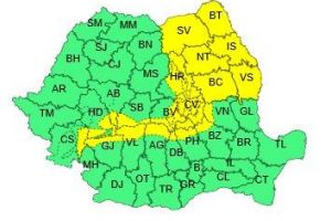 Cod Galben pentru Bacău