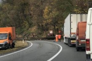 Trafic blocat pentru aproape două ore pe un drum din Cluj, din cauza unor copaci căzuţi pe şosea FOTO