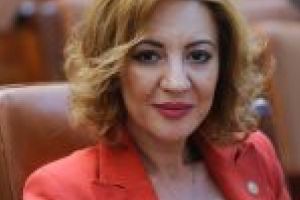 Alina Tănăsescu, deputat PSD de Dolj: Programul Start Up Nation va fi mult mai uşor de accesat