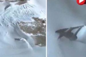 Google Earth a DESCOPERIT o ambarcaţiune supersonică care iese din zăpada Antarcticii. VIDEO în articol