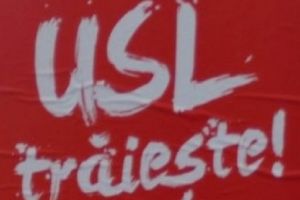 Liberalii gălăţeni se dau lebede în lighean pe Facebook