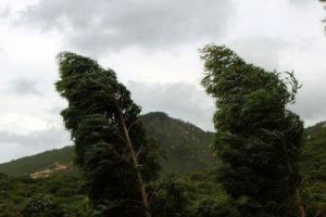 Alertă ANM: COD GALBEN de vreme severă, vânturi puternice în judeţul Alba, joi, până la ora 23.45