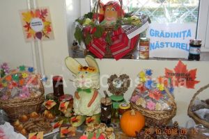 Targul Toamnei la Școala Gimnaziala nr. 16 Marin Ionescu Dobrogianu“. Banii donati au ajuns la micutii bolnavi de cancer (galerie foto)