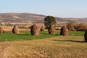 HĂRĂU – BANPOTOC sau cum să găseşti castele, muzeu şi grădină botanică lângă Deva (Galerie foto)