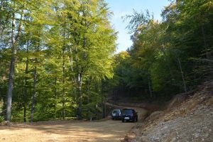 Primăria Braşov selectează proiectanţi pentru modernizarea drumurilor forestiere