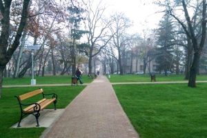 Se cauta solutii pentru combaterea schimbarilor climatice