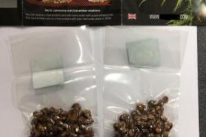 Clujean reţinut de poliţişti după ce şi-a comandat droguri halucinogene de pe INTERNET. A fost prins în flagrant FOTO