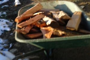 La 14 ani, s-a dus după lemne cu gândul la sex