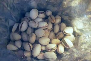 Fisticul contine o cantitate importanta de fier de care organismul nostru are nevoie 