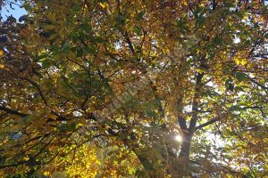 METEO: Duminică, temperaturile ajung la 27 de grade