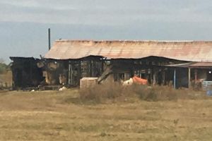 Solidaritate, pentru familia lăsată fără casă de incendiul din Sântandrei: o bunică, o mamă şi două fetiţe mici au nevoie de ajutor! (VIDEO)