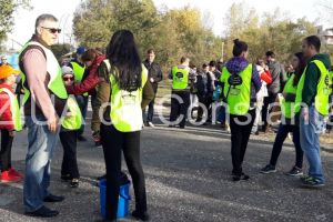 Live text. Actiune cu ocazia Centenarului: 100 de copaci, plantati in parcul Tabacarie din Constanta!  (galerie foto)    