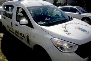 Politia Locala a facut ceva curatenie in Piata Traian. Anunta ca a scazut numarul amenzilor