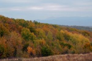 Toamna in Maramures: Peisaje de pe dealurile de la Farcasa (FOTO)