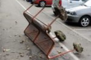 REVOLTĂTOR. Comportament animalic pe străzile Reşiţei!