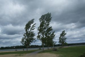 Avertizare meteo imediată: Cod galben în Bihor, vântul va depăşi 60 km pe oră! Lista localităţilor afectate