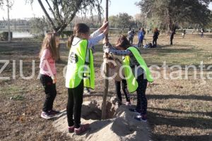 Actiunea Constanta Restart, prin proiectul Plantam 100 de copaci in Tabacarie! Pentru 100 de ani de Romania“, un real succes (galerie foto)