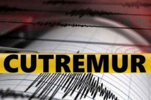 Cutremur puternic in Romania,azi noapte.Sistemul RO ALERT NU A FUNCTIONAT
