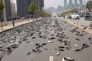 FENOMEN meteo CIUDAT la sfârşit de OCTOMBRIE. Cum va fi VREMEA săptămâna viitoare