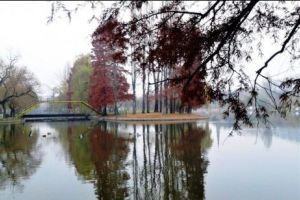 FENOMEN meteo CIUDAT la sfârşit de OCTOMBRIE. Cum va fi VREMEA săptămâna viitoare