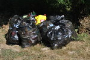 Judeţul Caraş-Severin, codaş la voluntariat şi curăţenie!