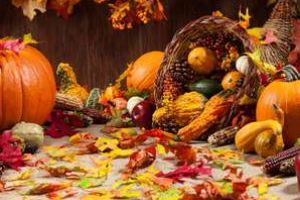 Recunoştinţă din Bihor: Ziua Recunoştinţei a fost celebrată, în mod inedit, şi în comuna Ţeţchea