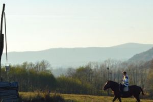 Vara Arhangelilor pe Valea Idicelului