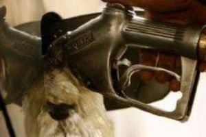 INCREDIBIL. Benzinăriile ATACATE de hoţi. Nouă metodă de FURT direct de la pompă