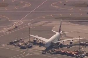 Descoperire FABULOASĂ pe Aeroportul Cluj-Napoca. Poliţiştii au fost ULUIȚI