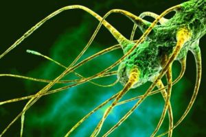 Descoperire care REVOLUȚIONEAZĂ medicina. Legătura BIZARĂ între Salmonella şi imunitate