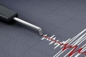 Cutremur de 5.8 grade Richter. In Ploiesti s-a simtit PUTERNIC