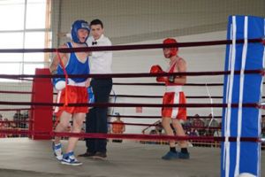 Club sportiv “Voinţa” Satu Mare – raport de activitate