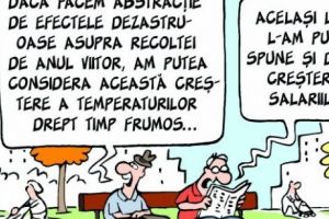 Părerea lui Terente