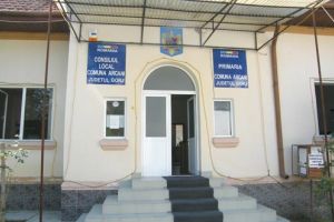 Primăria Arcani caută bibliotecar cu 9 ani vechime