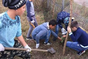 Zece stejari plantaţi la Ruşi – Ocazia este specială