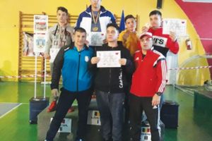 Metale preţioase de la Satu-Mare