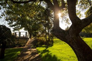 Caldura scoate Coltermul din casele timisorenilor