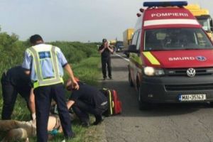 GRAV ACCIDENT rutier. Cinci autoturisme au fost implicate. Autostrada A1 Bucureşti – Piteşti este BLOCATĂ