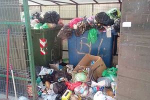 Până apar pubelele îngropate, cresc amenzile pentru cei care fac mizerie la ghenele de gunoi