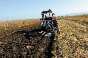 Graficul lucrărilor agricole în luna noiembrie