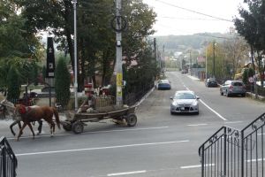 Dosare penale pentru căruţaşii aflaţi sub influenţa băuturilor alcoolice