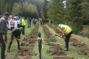 100 de puieţi plantaţi în judeţ pentru a marca Centenarul Unirii